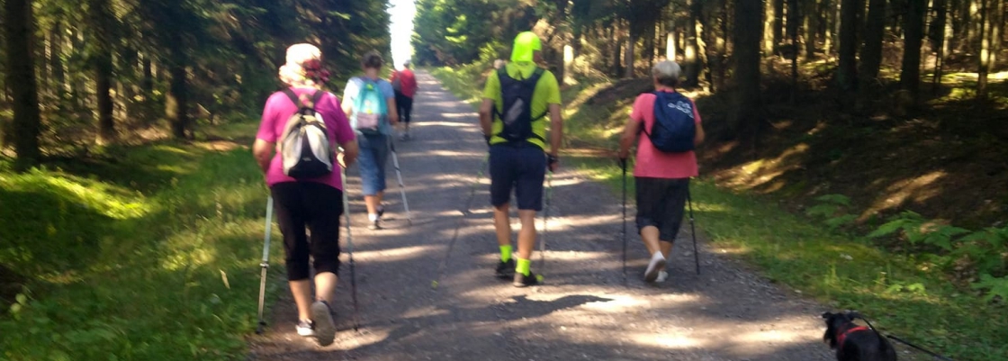 Drugi marsz z kijkami w ramach projektu "Kijowe wyprawy Nordic Walking dla Seniorów" (foto)